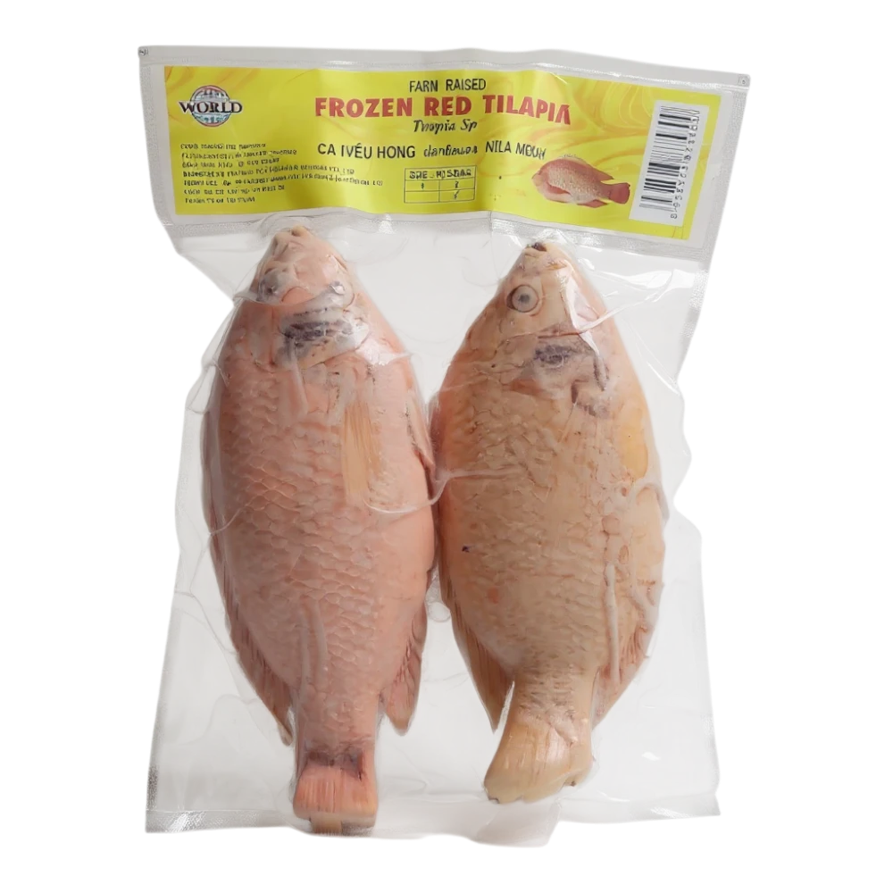 Frozen Red  Tilapia